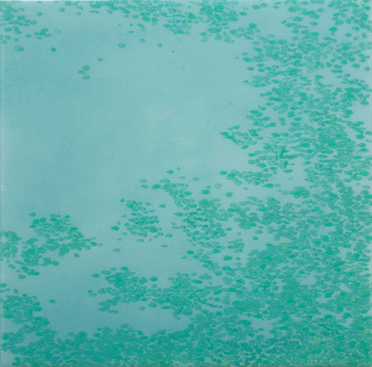 Flit 7 (2024)