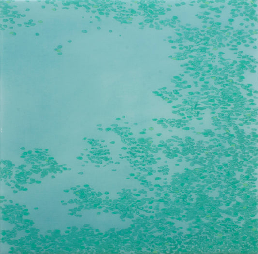 Flit 7 (2024)