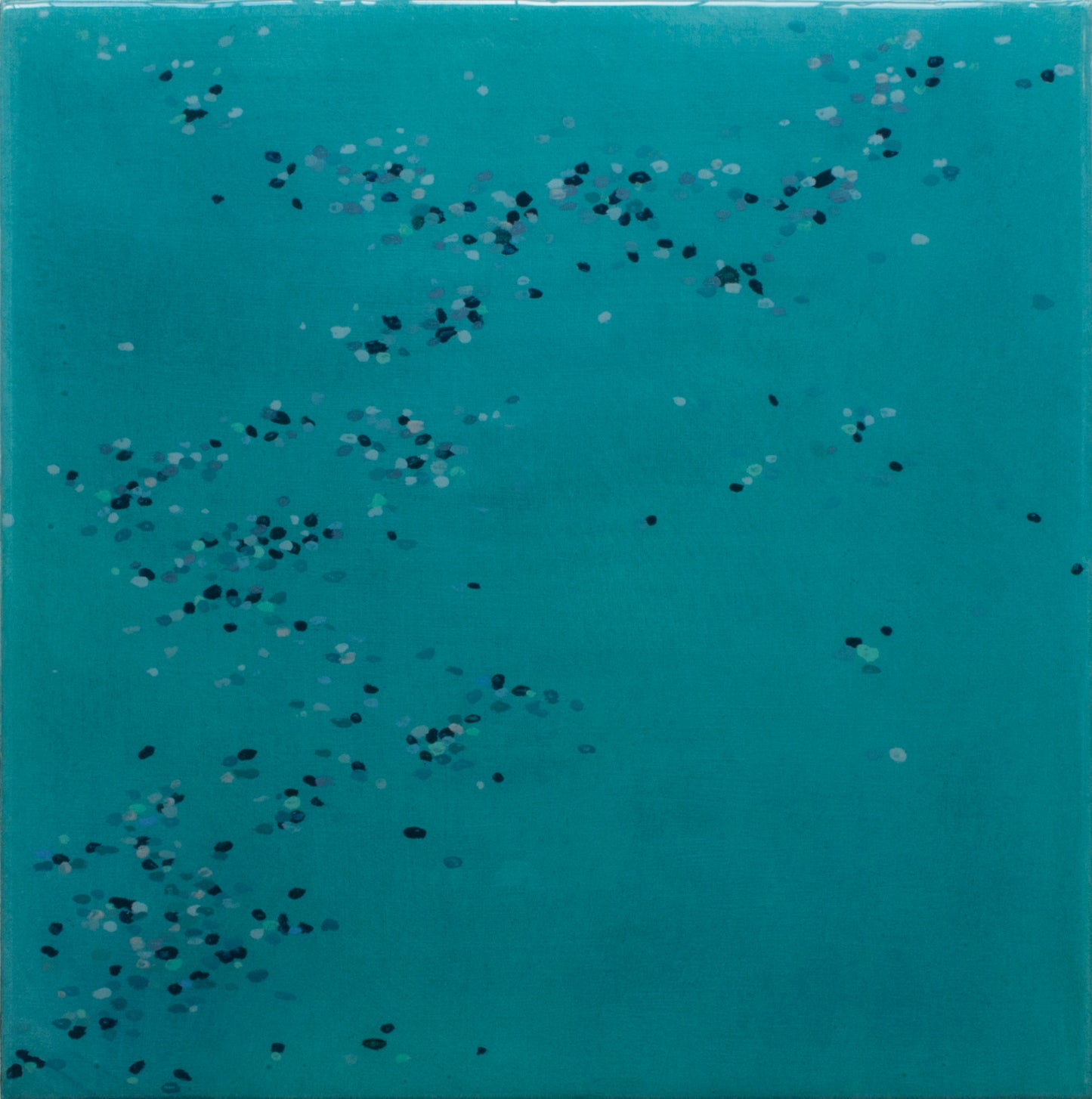 Flit 9 (2024)