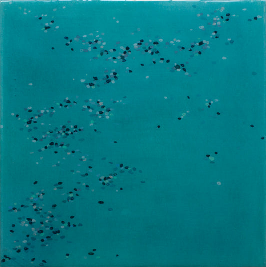 Flit 9 (2024)