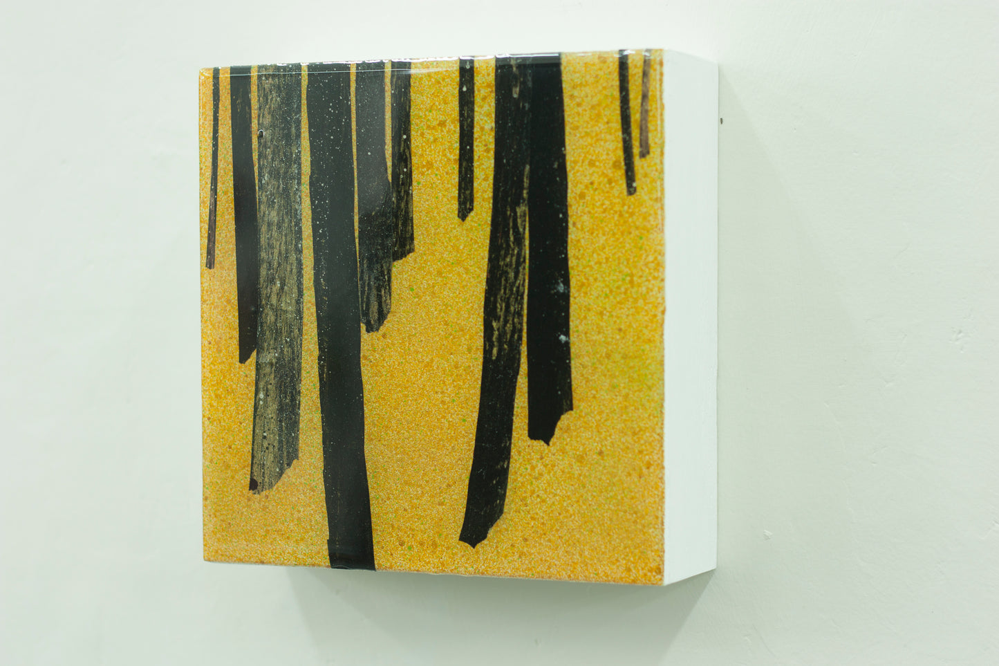 Golden Forest VI (2022)