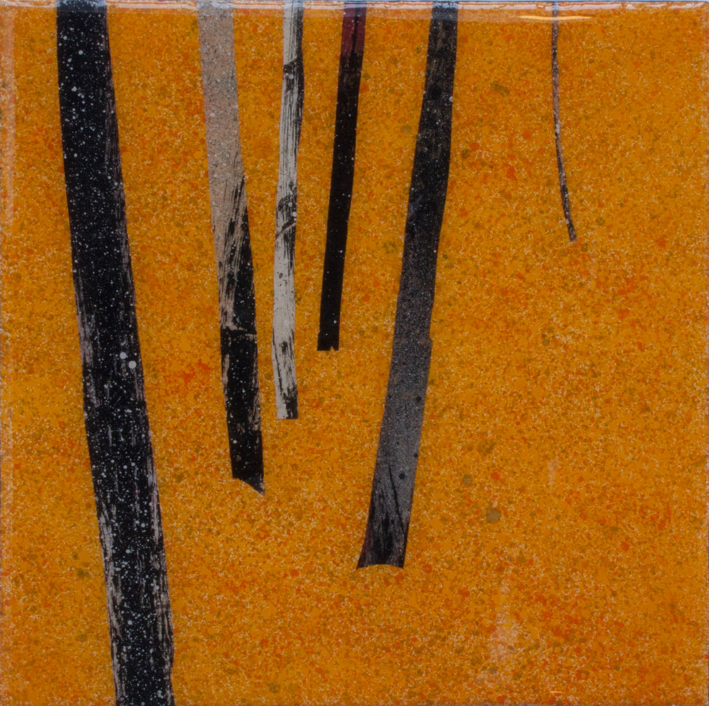 Forest 001 (2023)