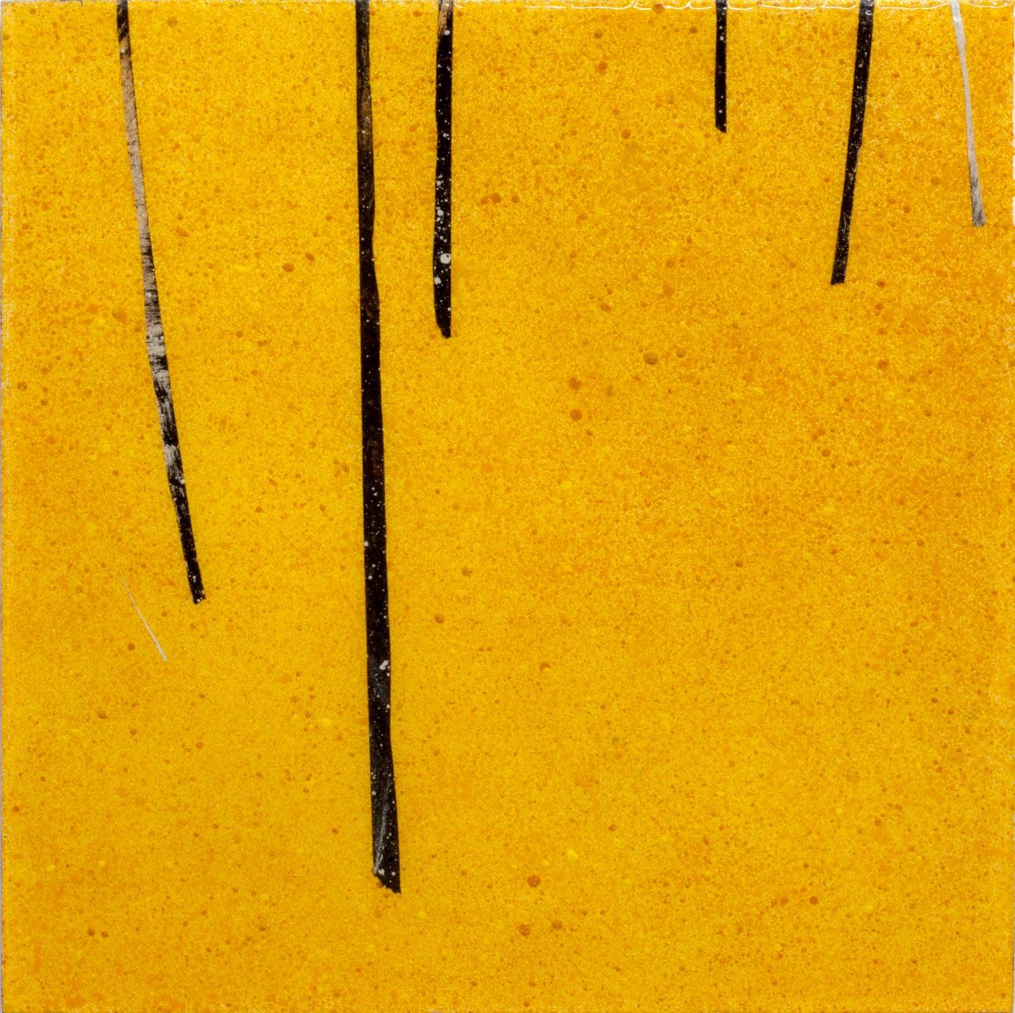 Forest 006 (2023)