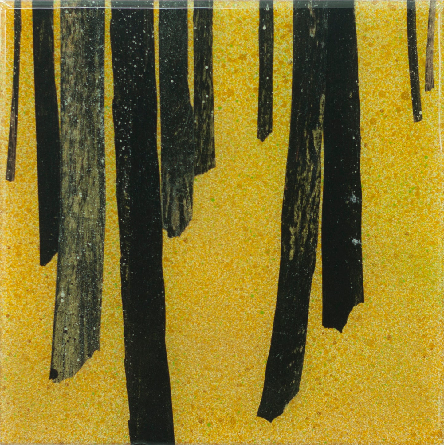 Golden Forest VI (2022)